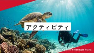 アクティビティ